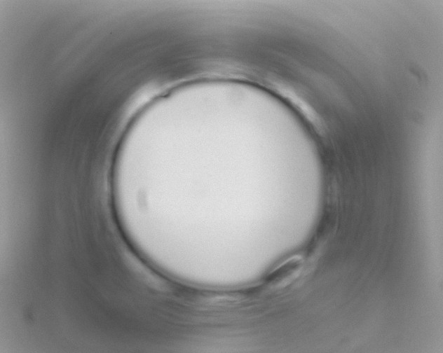 X0000115041471200911231123