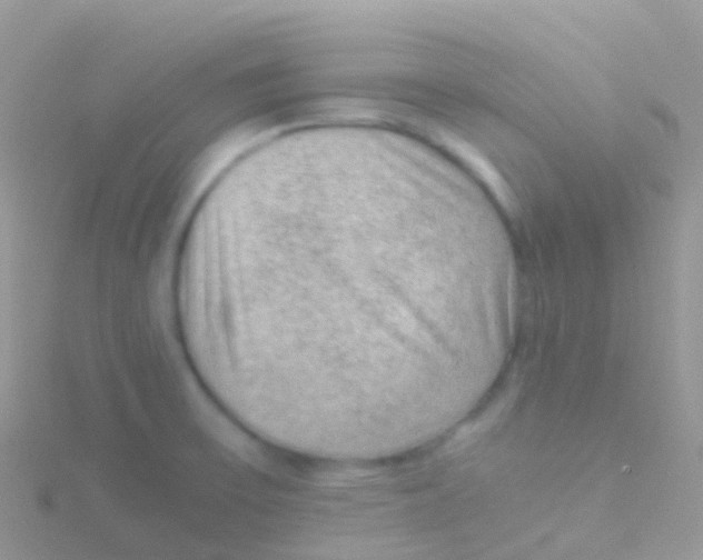 X0000115041475200911231122