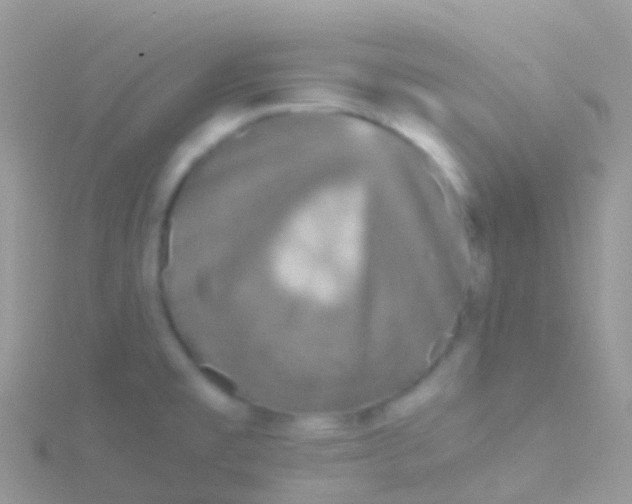 X0000115041477200911231122