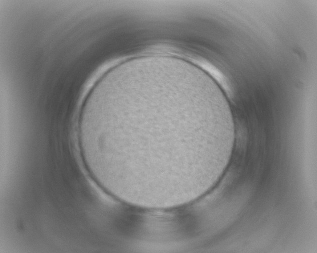 X0000115041478200911231122