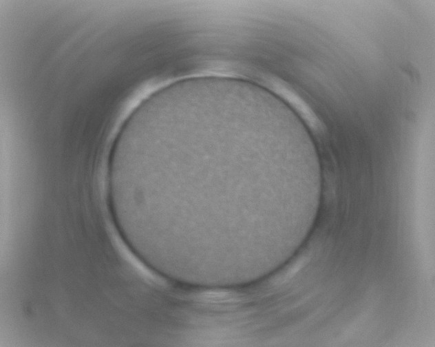 X0000115041479200911231122