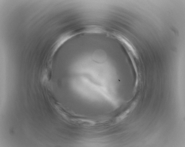 X0000115041481200911231122