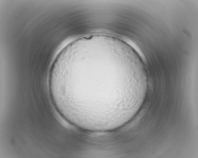 X0000115041482200911231122