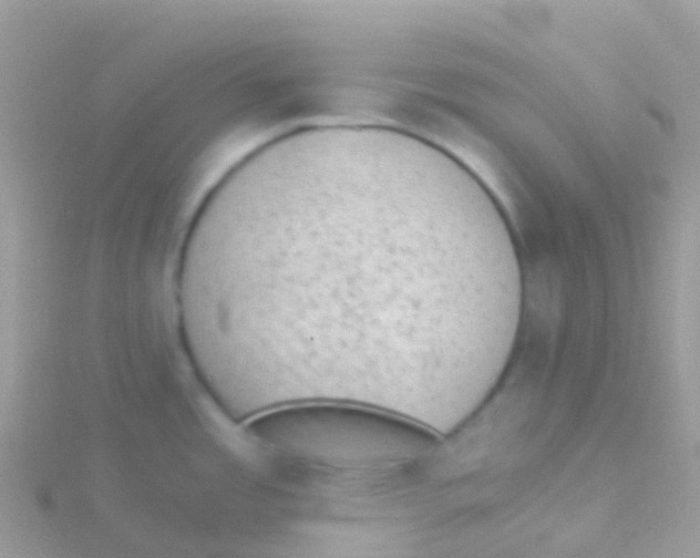 X0000115041485200911231122