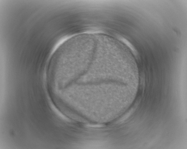 X0000115041487200911231122