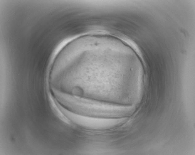 X0000115041488200911231122