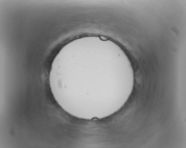 X0000115041495200911231122