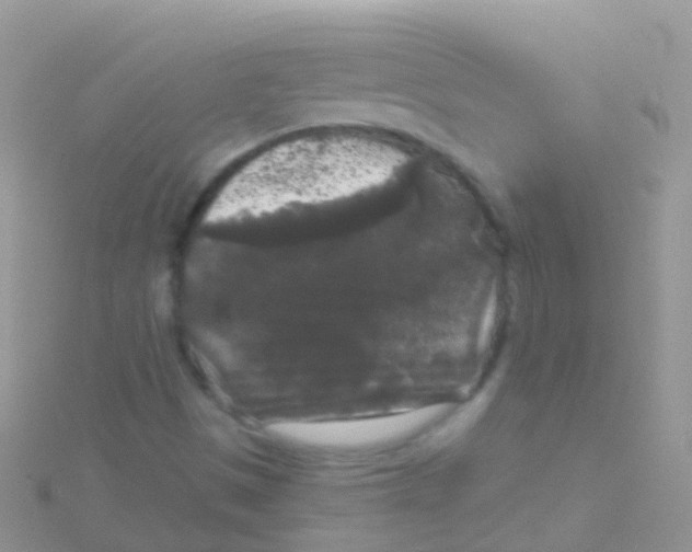 X0000115041497200911231122