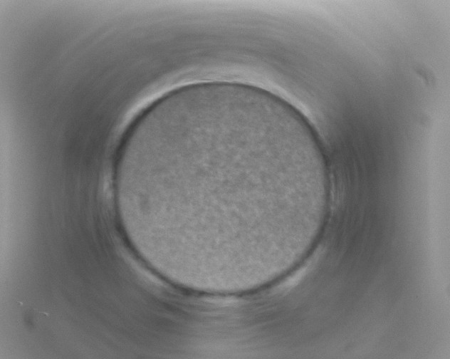 X0000115041498200911231122