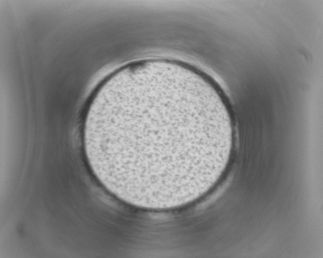 X0000115041501200911231122