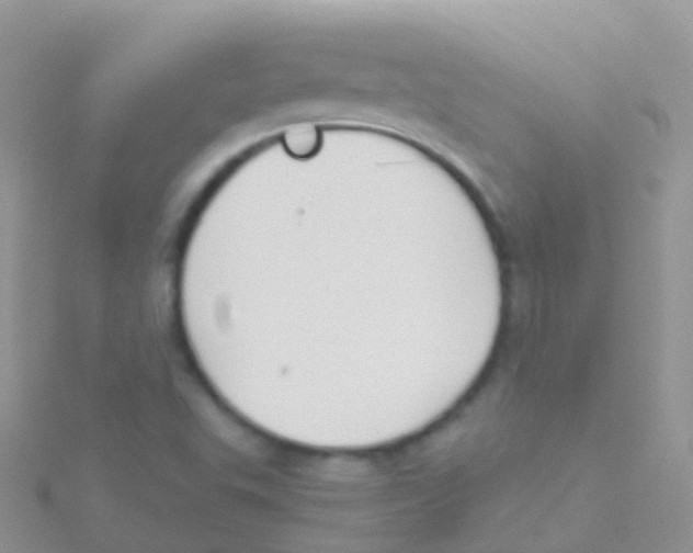 X0000115041503200911231122