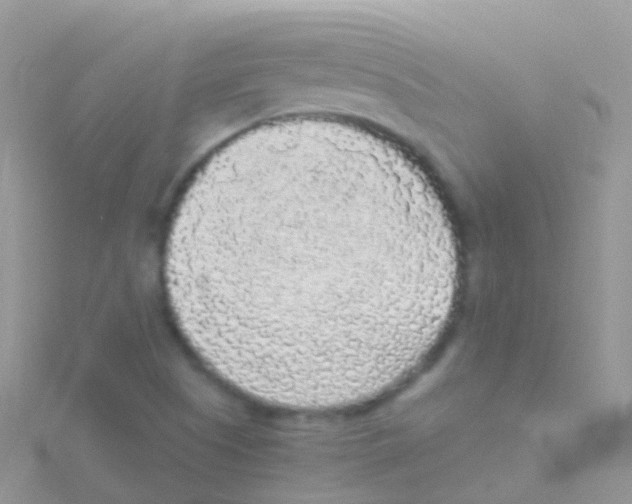 X0000115041505200911231122