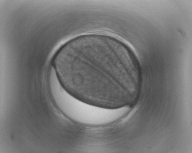 X0000115041506200911231122