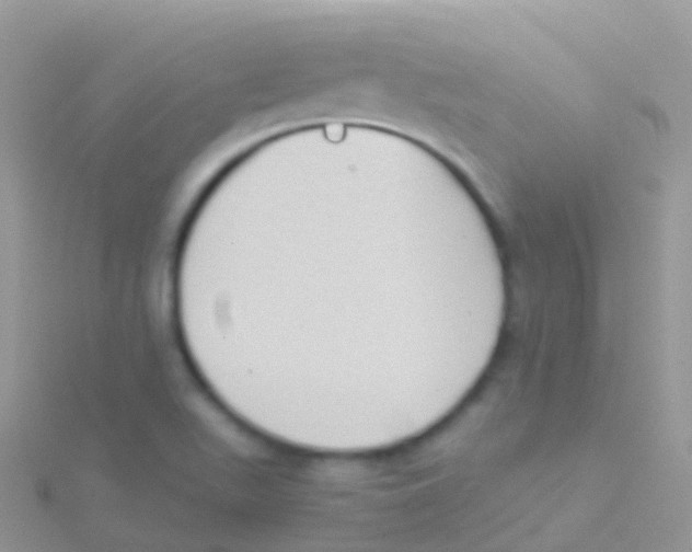 X0000115041511200911231122