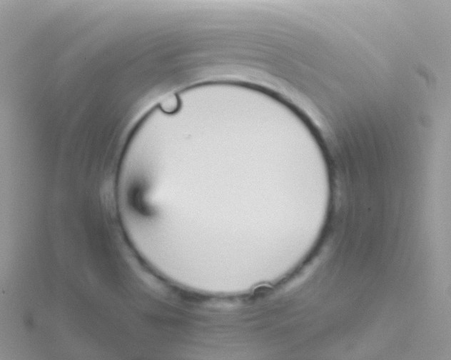 X0000115041513200911231122