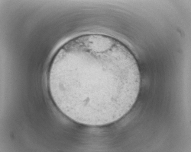 X0000115041514200911231122