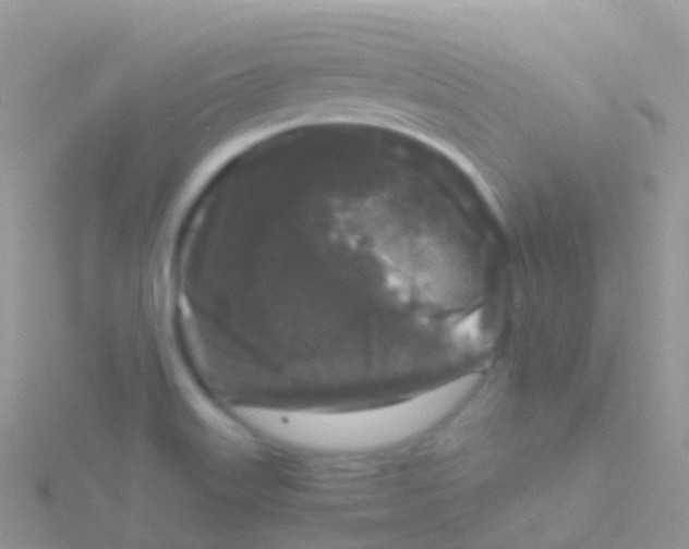 X0000115041515200911231122