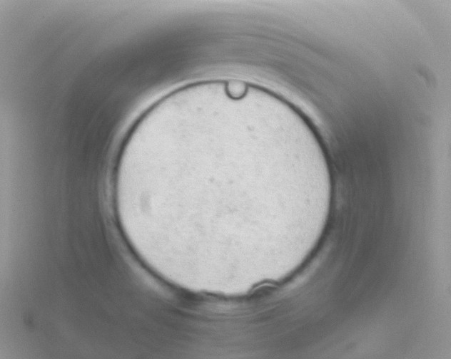 X0000115041517200911231122