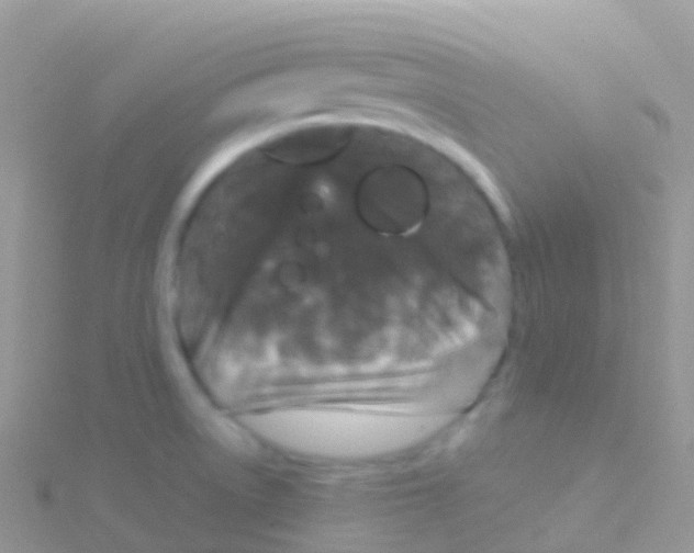 X0000115041522200911231122