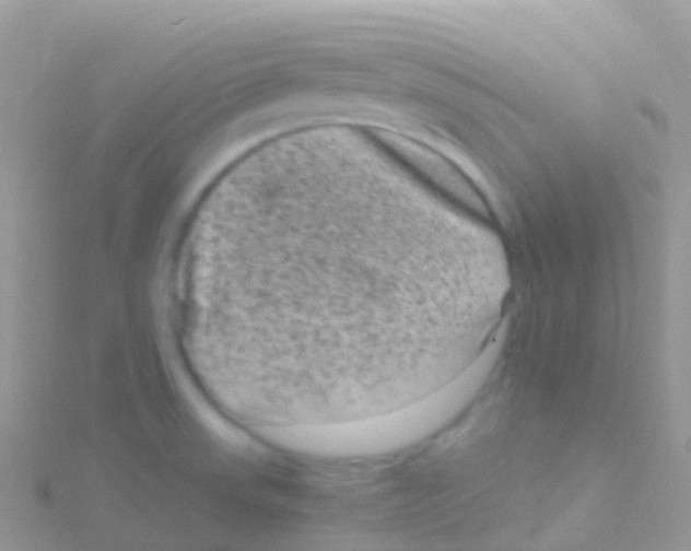 X0000115041523200911231122