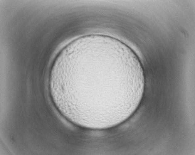 X0000115041525200911231122