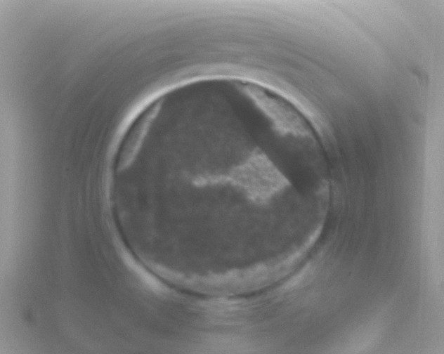 X0000115041527200911231122