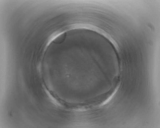 X0000115041529200911231122