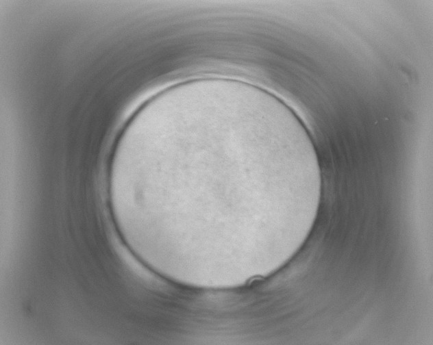 X0000115041531200911231122