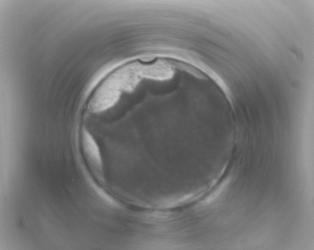 X0000115041533200911231122