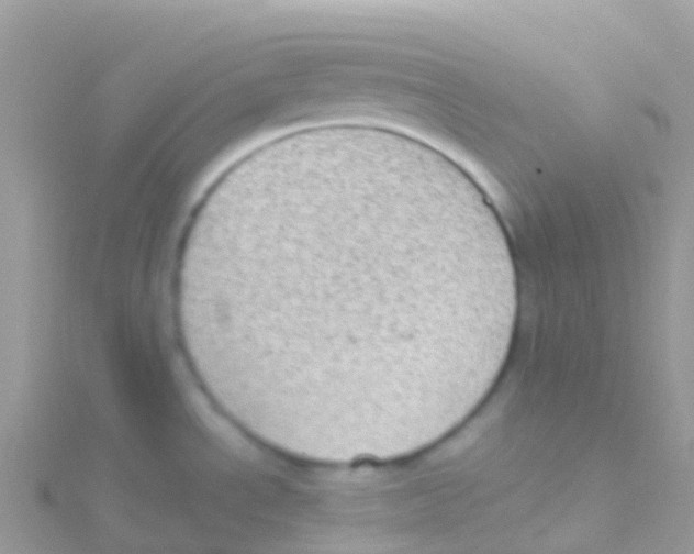 X0000115041534200911231122