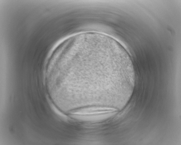 X0000115041535200911231122