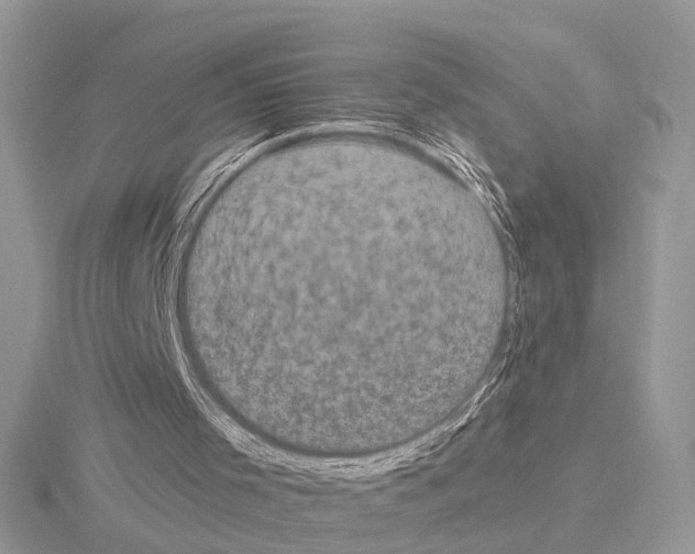 X0000115040001200912071119