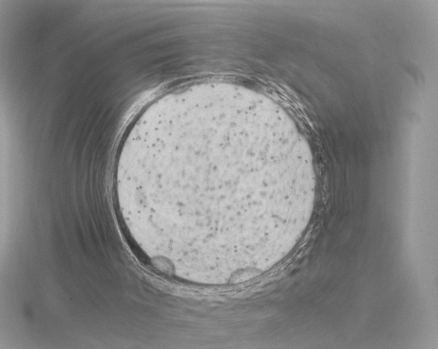 X0000115040003200912071119