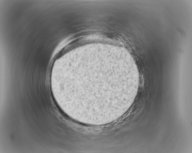 X0000115040004200912071119