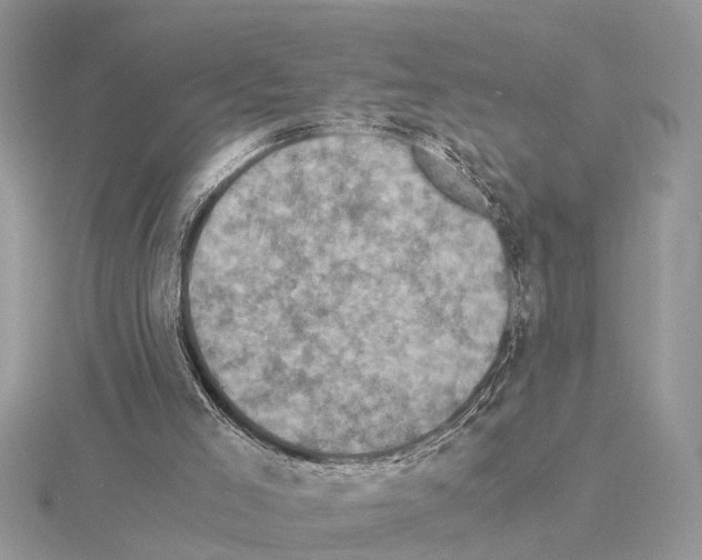 X0000115040005200912071119