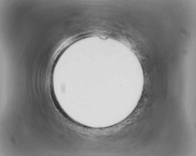 X0000115040007200912071119