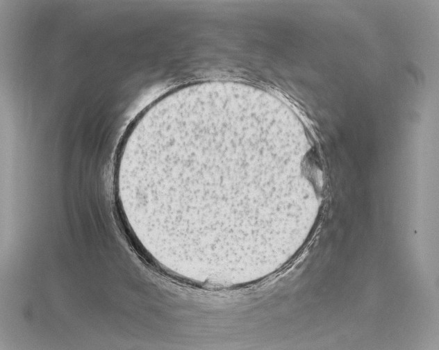 X0000115040008200912071119