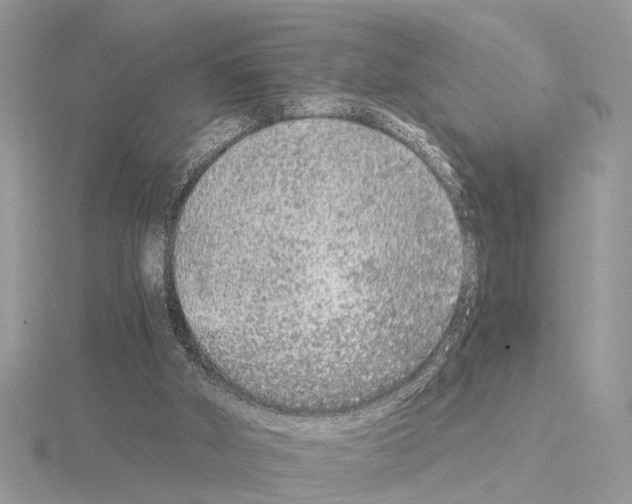 X0000115040010200912071119