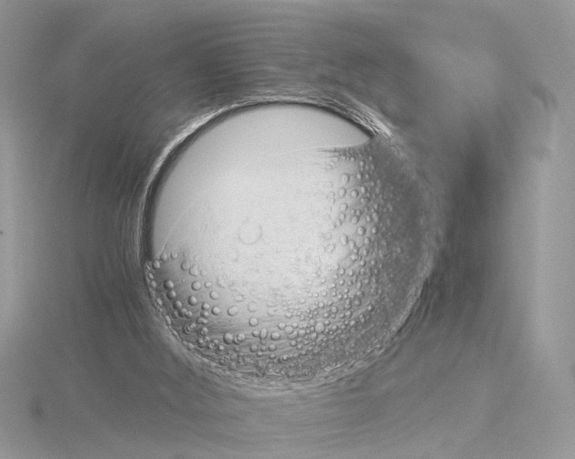 X0000115040012200912071119