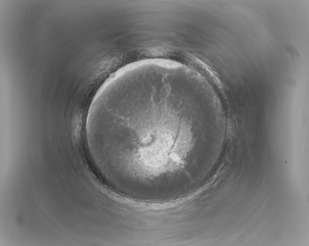 X0000115040018200912071119