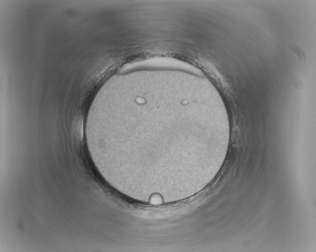 X0000115040021200912071119