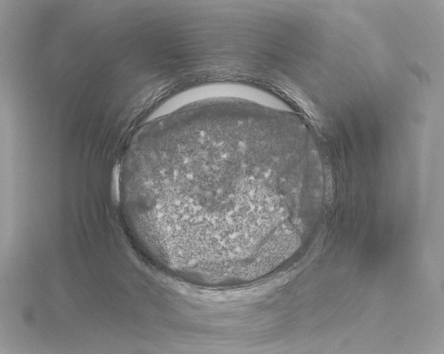 X0000115040022200912071119