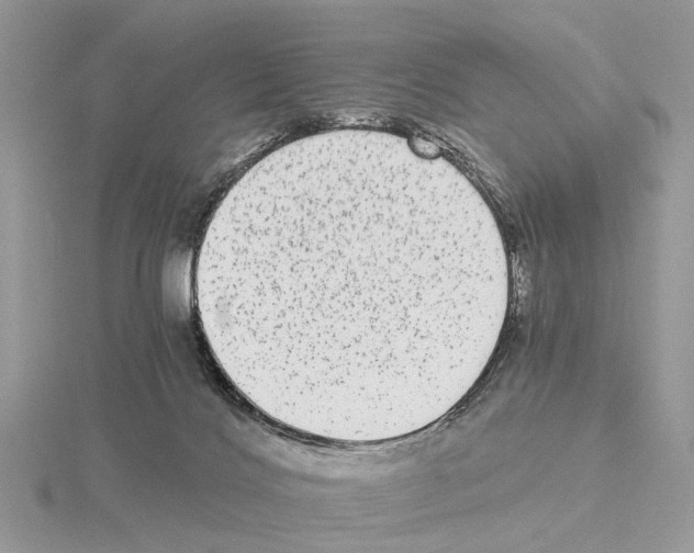 X0000115040028200912071119