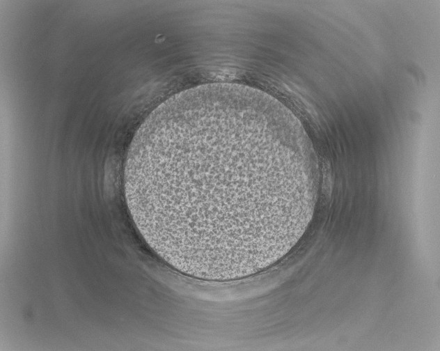 X0000115040030200912071119