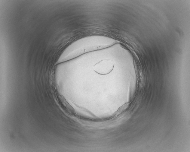 X0000115040034200912071119