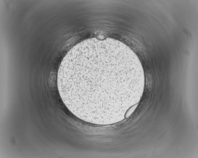 X0000115040036200912071119