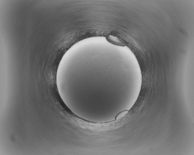 X0000115040039200912071119