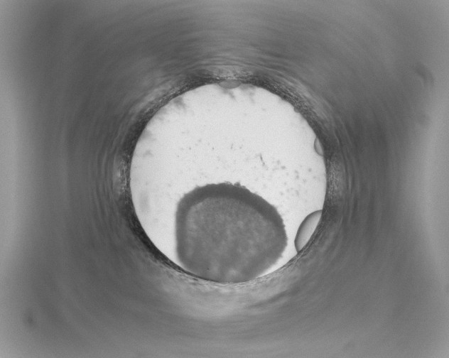 X0000115040043200912071119