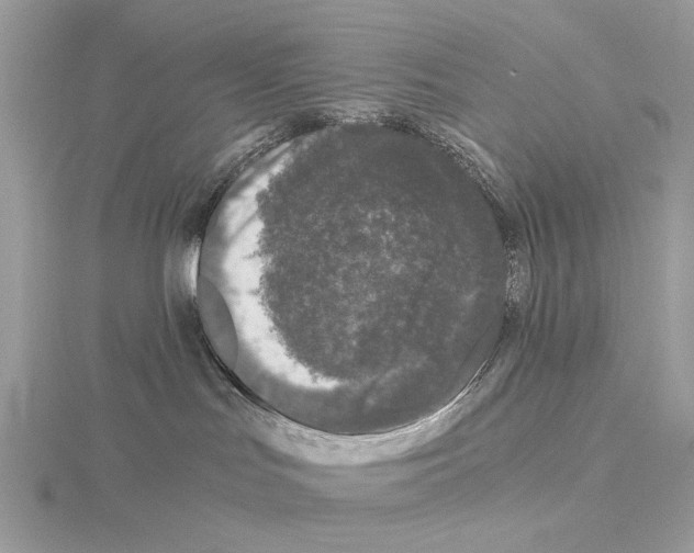 X0000115040047200912071118