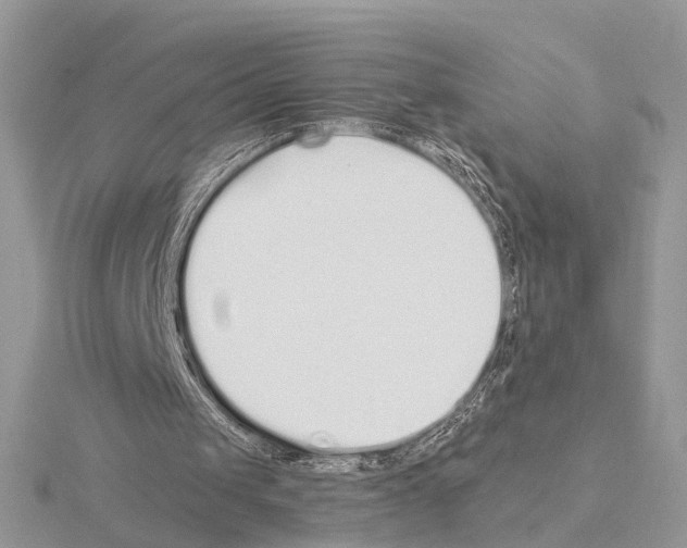 X0000115040049200912071118